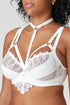 PrimaDonna Arthill Special Accessory